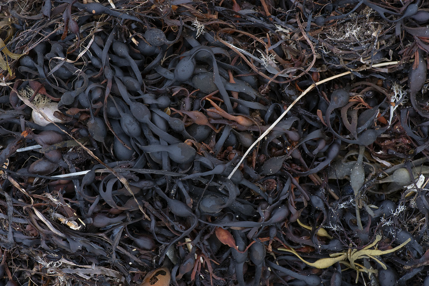 expanded photography